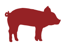 mailhog-oh6mz.sevalla.app favicon